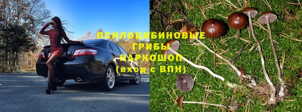 дмт Белокуриха
