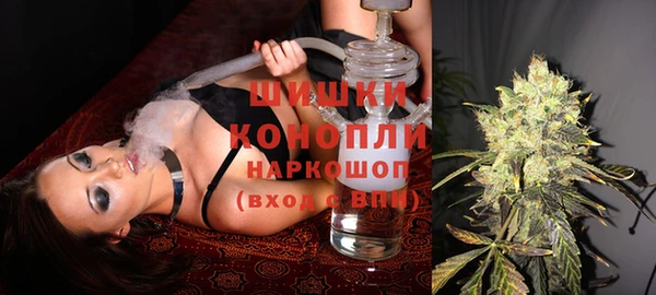 дмт Белокуриха